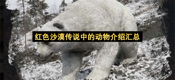 红色沙漠传说动物全图鉴全收集_红色沙漠传说动物全图鉴盘点