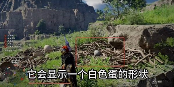 如何获取坐骑嘟嘟鸟？来看这篇《红色沙漠》嘟嘟鸟蛋获取全流程一览
