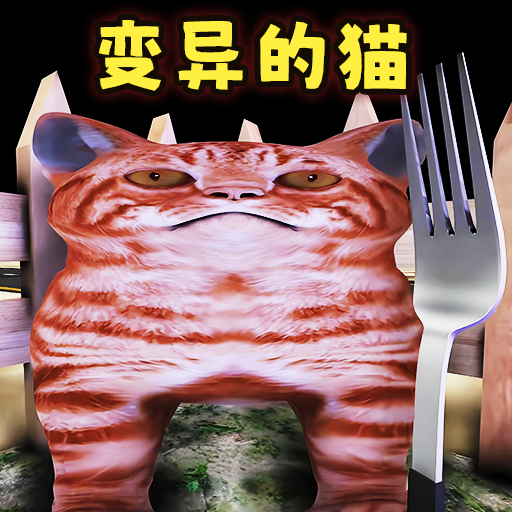 喂了个猫