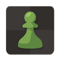 国际象棋