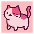 猫咪狂潮