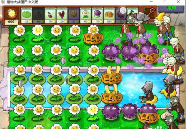 植物大战僵尸95版