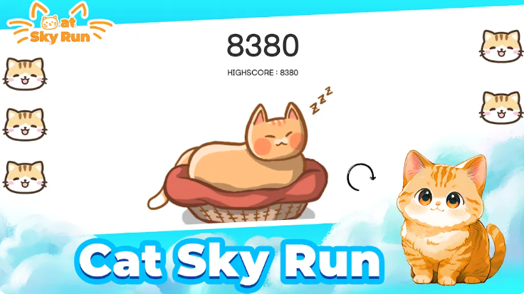 猫咪飞天跑
