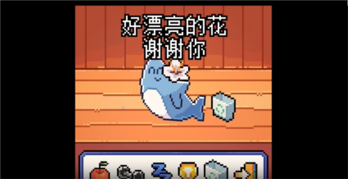 我的小鲨鱼