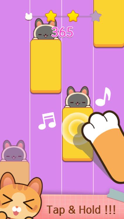 猫咪弹钢琴