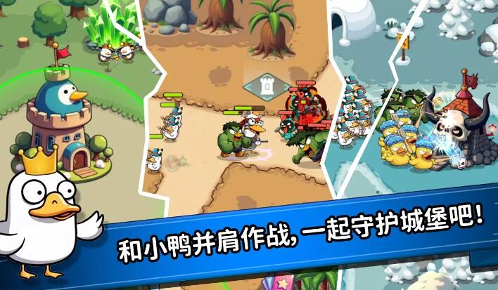 什么鸭