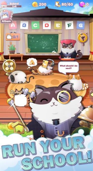 猫咪学校