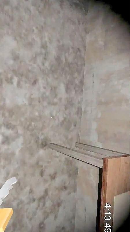 恐怖老奶奶模拟