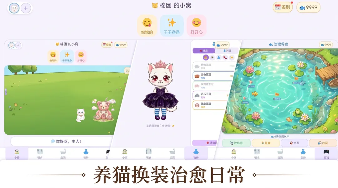 喵星小伙伴