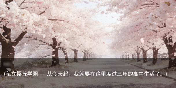 游戏佬的后宫