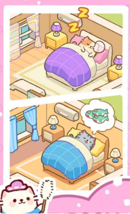完美猫咪旅馆