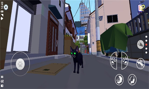 小猫咪大城市