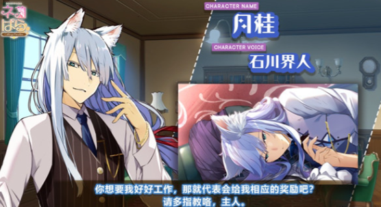 猫郎乐园