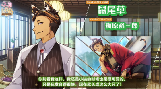 猫郎乐园