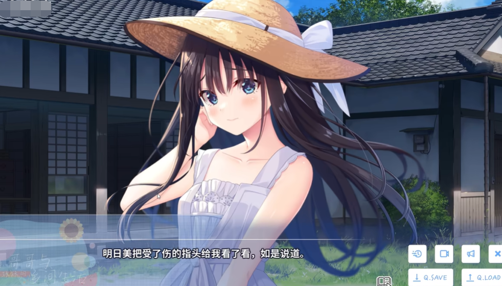 乡间隐居的病弱妹妹