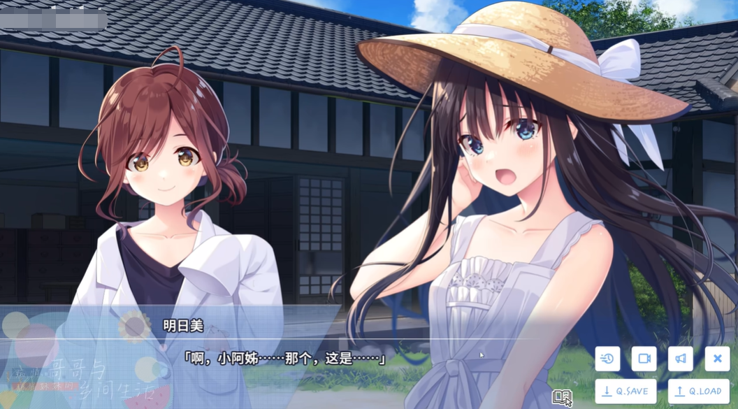 乡间隐居的病弱妹妹