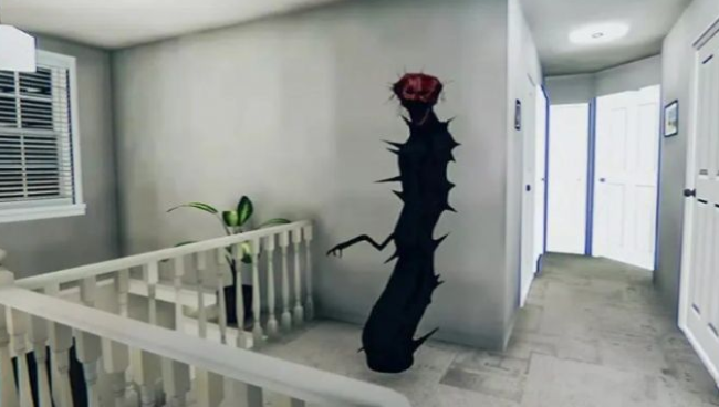 煮沸者