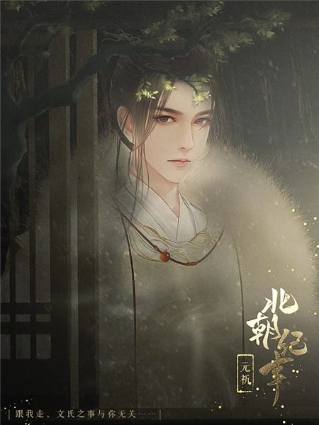 北朝纪事