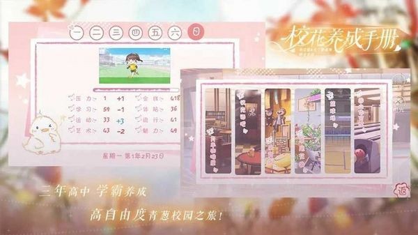 校花养成手册