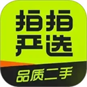 拍拍