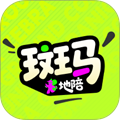 斑马地陪
