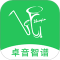 卓音智谱