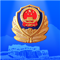 西藏公安政务服务平台