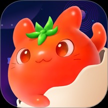 番茄工作法