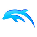 dolphin模拟器