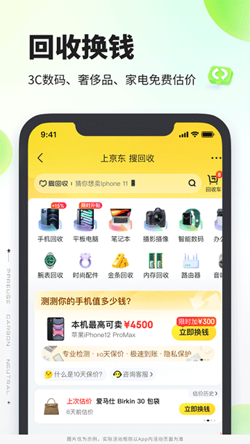 拍拍