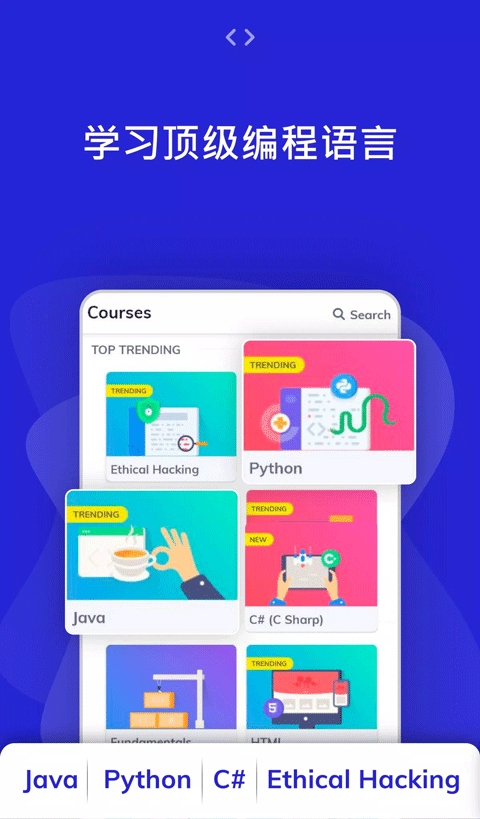 programming hub