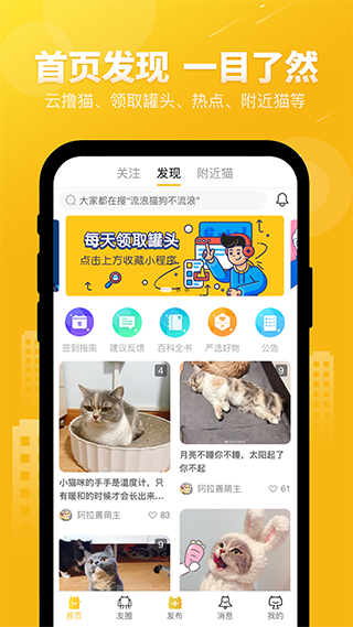 友猫