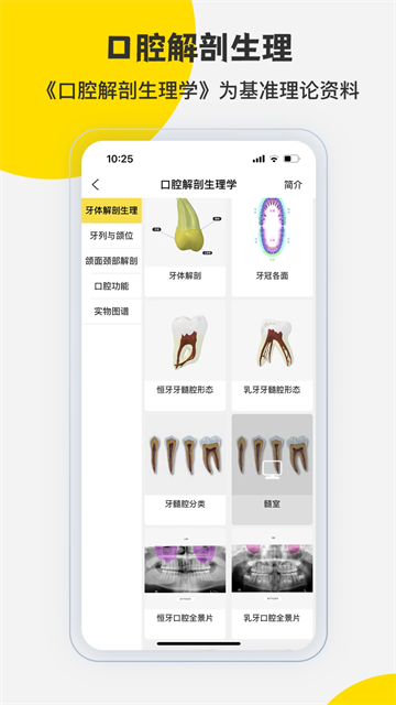 3Dbody解剖