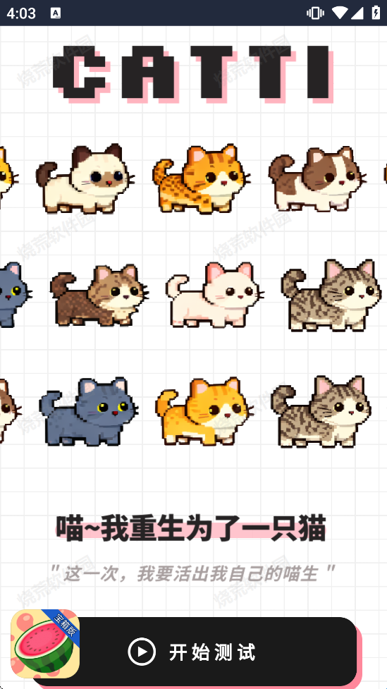 catti人格测试