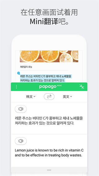 papago翻译器