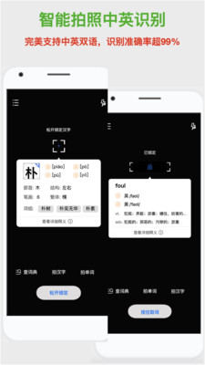 斑马词典