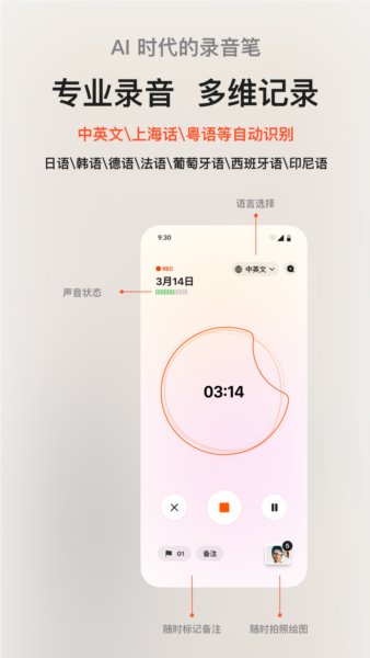 闪念贝壳