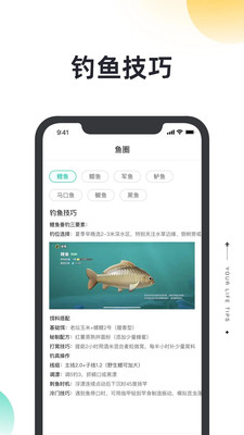 星汇智选