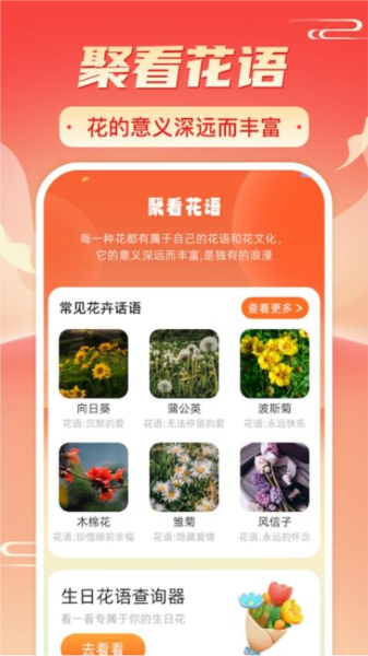 暖阳刷刷