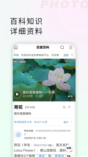 星密
