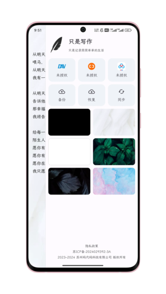 只是写作