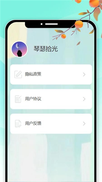 琴瑟拾光
