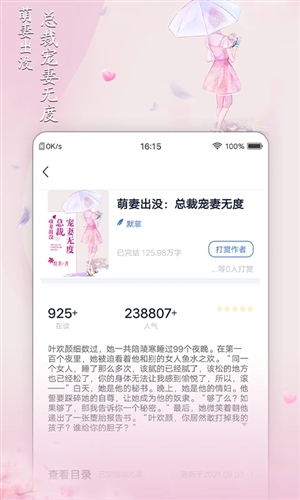 小说家