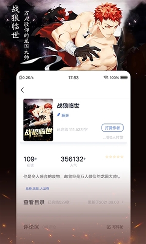 小说家