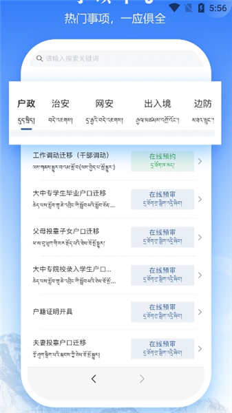 西藏公安政务服务平台