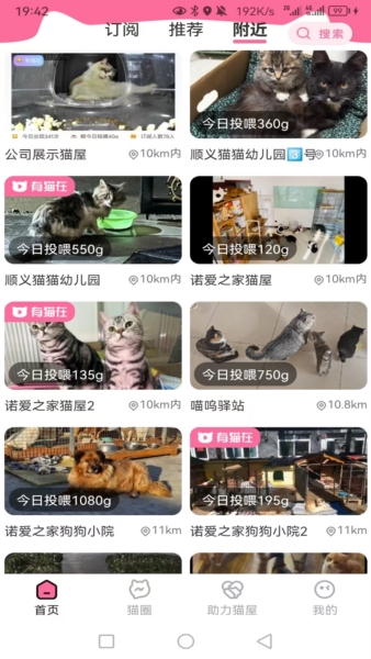 途猫