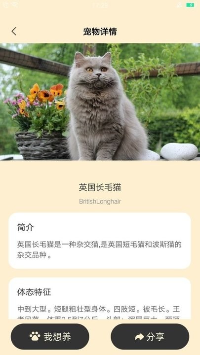 萌呼呼
