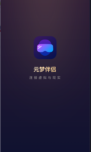 元梦伴侣