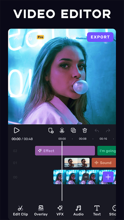 VivaCut